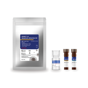 Apoptosis Detection Kit